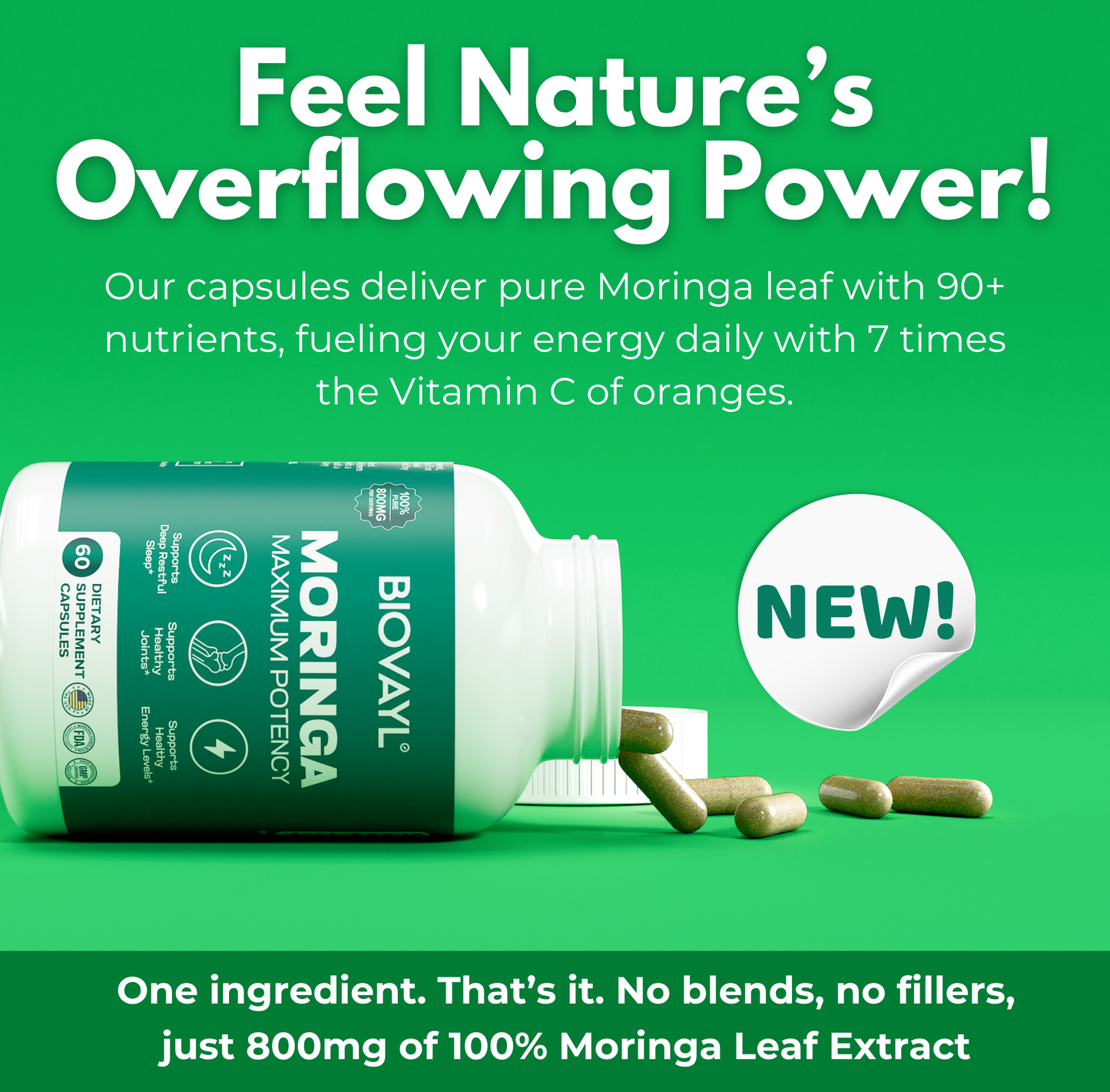 Moringa Capsules
